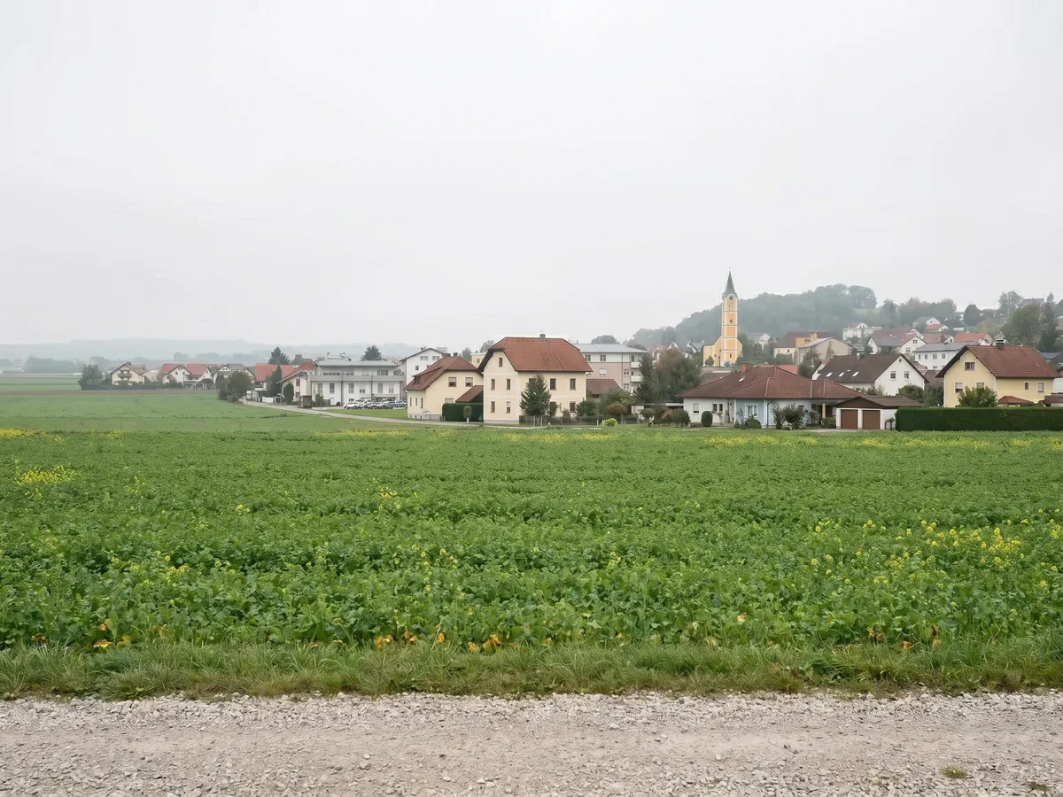 Wohnbebauung, wie sie für Pasching typisch ist